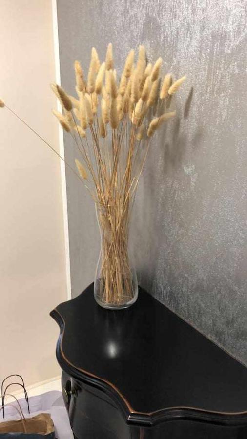 Apartament La Casa Di Morazzone Giulia Pawia Zewnętrze zdjęcie